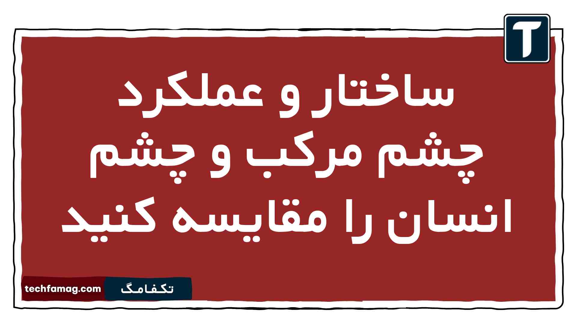 ساختار و عملکرد چشم مرکب و چشم انسان را مقایسه کنید