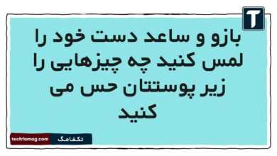 بازو و ساعد دست خود را لمس کنید چه چیزهایی را زیر پوستتان حس می کنید