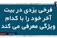 فرخی یزدی در بیت آخر خود را با کدام ویژگی معرفی می کند
