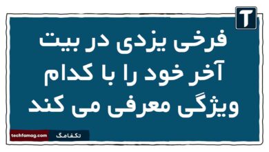 فرخی یزدی در بیت آخر خود را با کدام ویژگی معرفی می کند